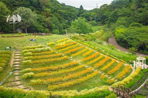 Nunobiki Herb Garden // Kobe, Japan - Little Islant Takara