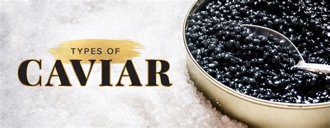 What is Caviar? Types, Taste, Cost, How to Serve, & More