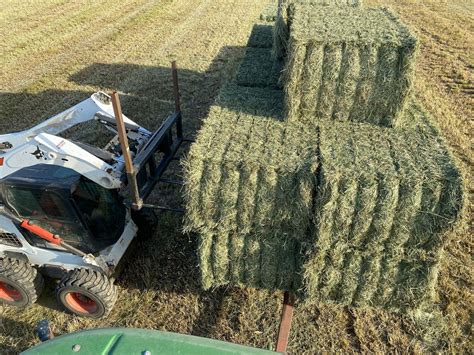 1st Cut Timothy Grass Hay 6-String Bales – CattleClub.com