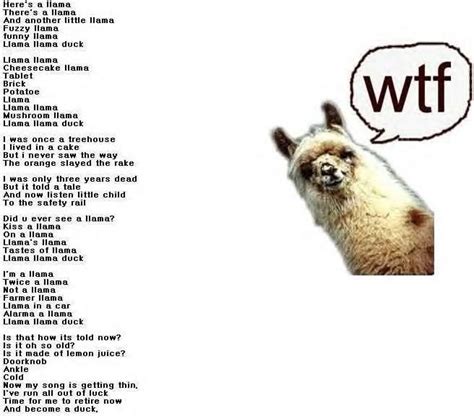 Llama Song Lyrics | Funny llama, Llama, Funny as hell