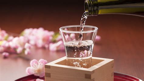 A Guide to Japanese Traditional Sake Cups - WAttention.com