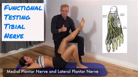 Tibial Nerve Test - Functional Testing - YouTube