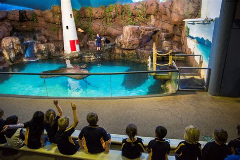 Underwater World SEA LIFE Mooloolaba | School Excursions and School ...