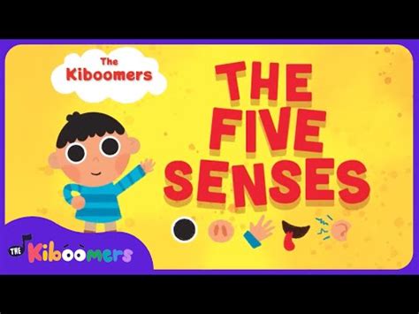 Five Senses Song | Song for Kids | eJOY English