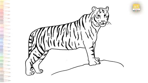 Tiger easy drawing | dibujo de tigre | How to draw A Tiger step by step ...