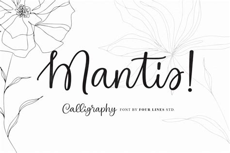 Mantis Font | Fontsera