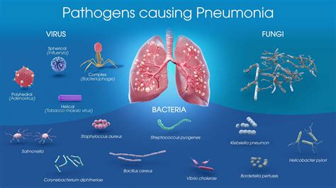 New weapon against bacterial pneumonia - https://debuglies.com