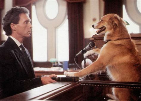 10 Most Loveable Dogs from the Big Screen