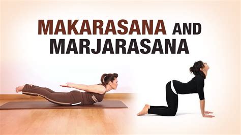 Makarasana and Marjarasana - Dilip Tiwari - Fit Vit - YouTube