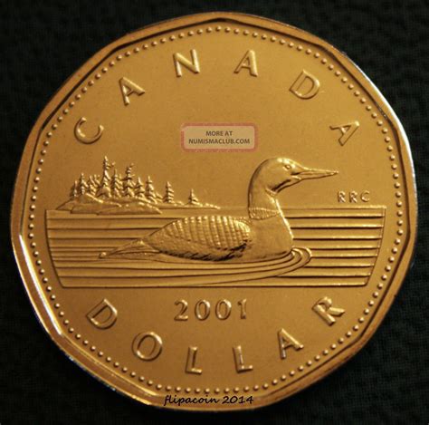 2001 Canadian Loonie - One Dollar Coin Bu/pl Not Minted For Circulation