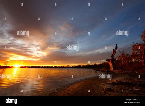 Sunrise over a billabong beside the Murray River, Sunraysia region, Victoria, Australia Stock ...