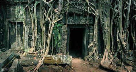 Get a Walk Through Ta Prohm Temple, Cambodia - YourAmazingPlaces.com