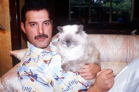 Freddie Mercury - Wallpics.Net