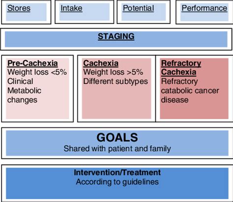 Cachexia classification and staging system with treatment guidelines ...