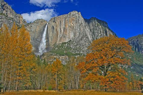 Yosemite Photos - Yosemite In The Clouds - Yosemite Peregrine Lodge