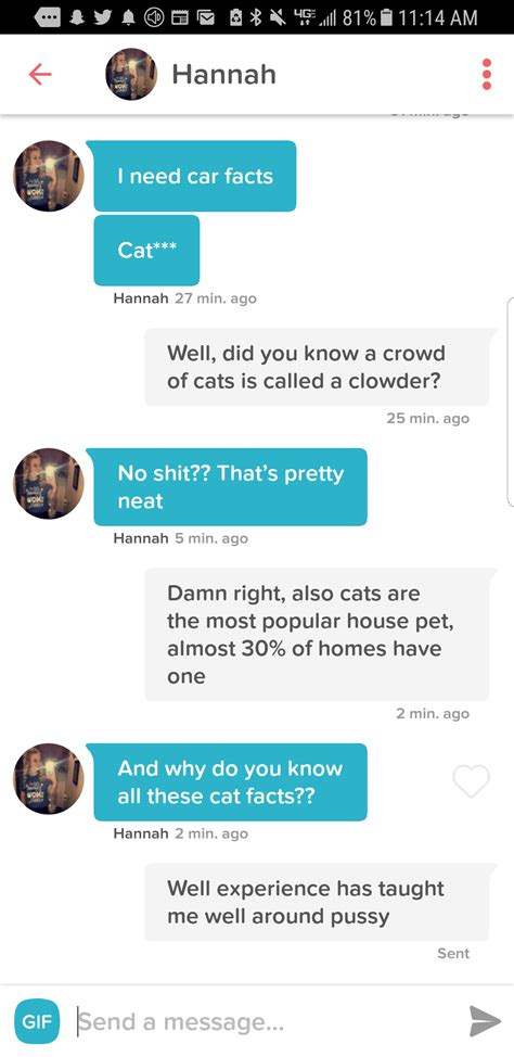 Made my bio about cat facts, it's working out well : r/Tinder