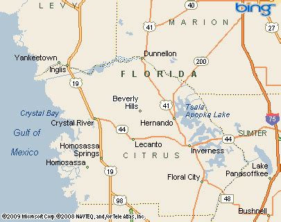 Pine Ridge Estates (Beverly Hills nbhd), Florida Area Map & More