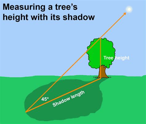 Dennis Mammana: Out of the Shadows Emerges a Simple Method to Measure Heights | Outdoors | Noozhawk