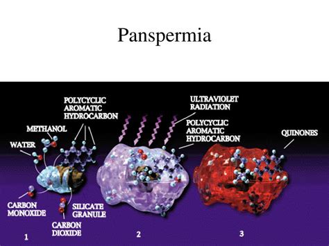 PPT - Origin and Evolution of Life on Earth Bennett et al. Chapter 5 ...