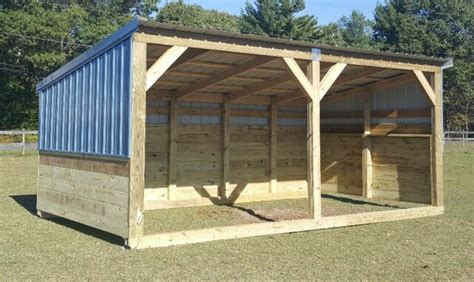 Equine Shelter 101: Do all horses need a stable? - Horse Rookie