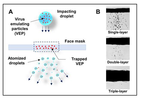 Physics experiment shows potential value of triple-layer masking - U of ...