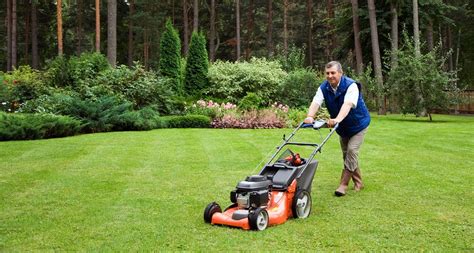 Should You Hire Professionals for Yard Work or Not? – Home Sweet Homes