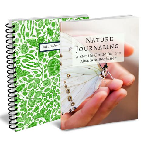 Nature Journaling Bundle - Lily & Thistle