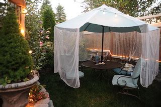 Mosquito netting over the blue green umbrella, patio set, … | Flickr