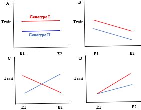 Analyzing Examples of Phenotypic Plasticity Practice | Biology Practice ...