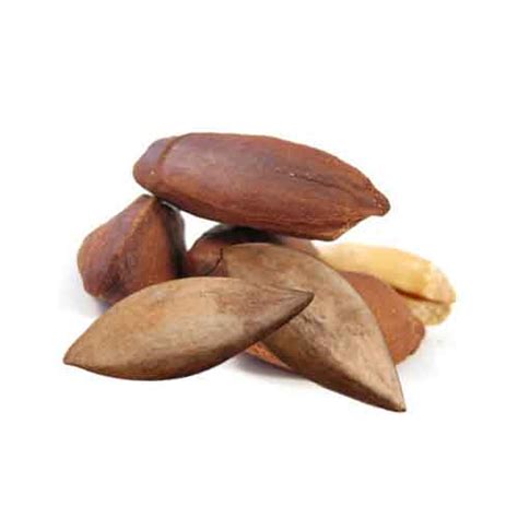 Pili Nut | Nutrition facts-Pili Nut | Health benefits