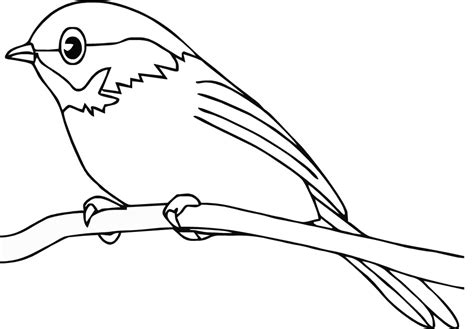 bird coloring pages for kids | Bird coloring pages, Bird drawings, Coloring pages