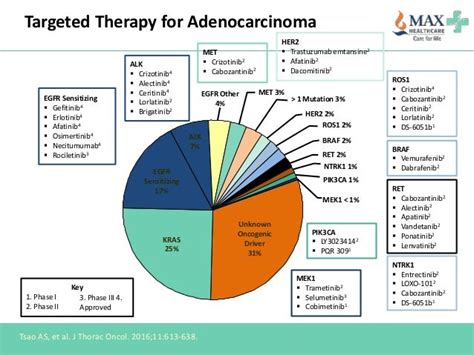 Targeted therapy and immunotherapy in lung cancer