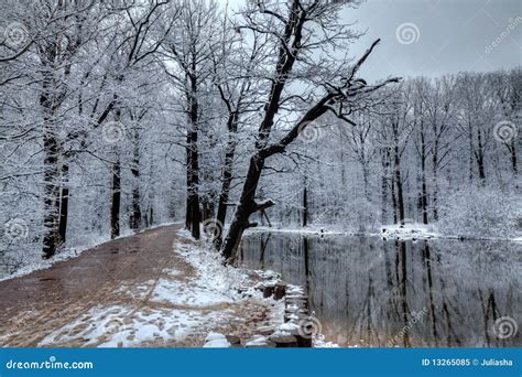 Winter forest panorama stock image. Image of water, nursery - 13265085