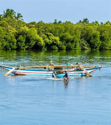 Tourist Attractions, Events, Things to do in Negombo, Sri Lanka | Love ...