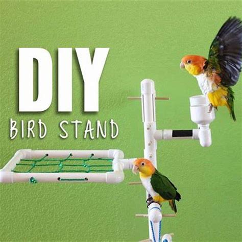 How do you make a bird perch out of PVC pipe? - DIY Seattle