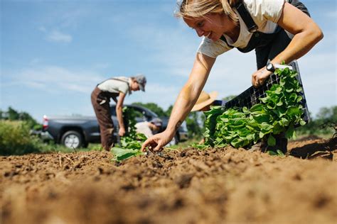 Updates From The Farm — Bumbleroot Organic Farm