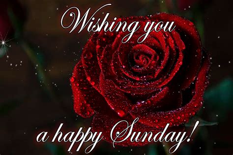 Happy Sunday GIFs - 70 Animated Greeting Cards | USAGIF.com