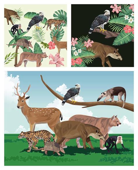 Forest Animals Vector Art, Icons, and Graphics for Free Download