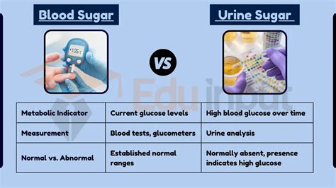 Difference Between Blood Sugar and Urine Sugar