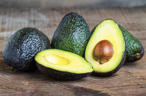 A cultivar Aguacates! – Terrazonet