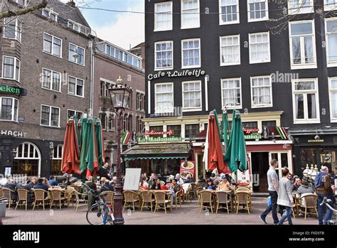 Rembrandtplein ( Rembrandt Square ) Amsterdam Netherlands nightlife Stock Photo: 102321307 - Alamy