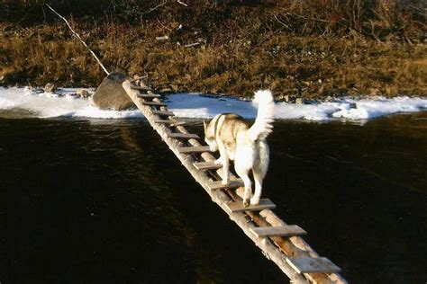 Bob Harte’s Family Photo Album | The Last Alaskans | Discovery