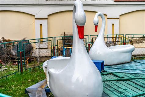 Attraction in the Park with Swans Stock Photo - Image of children, amusement: 177636408