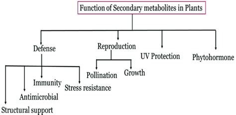 Functions of secondary metabolites. | Download Scientific Diagram