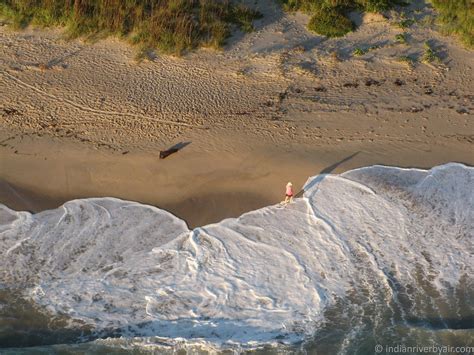 A walk along the beach, Indian River County, Florida Indian River County, Beachfront, Ticket ...