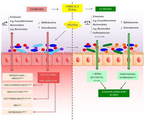 Efficacy Of Omega-3 Highly Unsaturated Fatty Acids In The Treatment Of ...