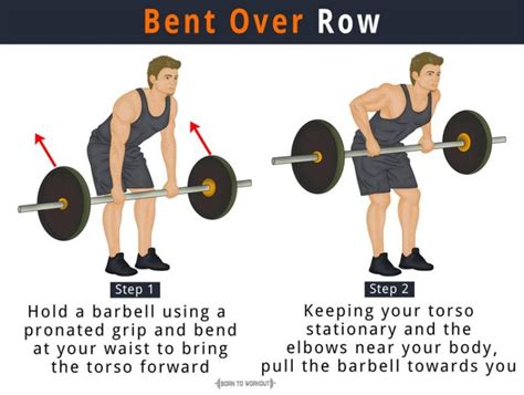 Bent Over Row | Born to Workout | Born to Workout