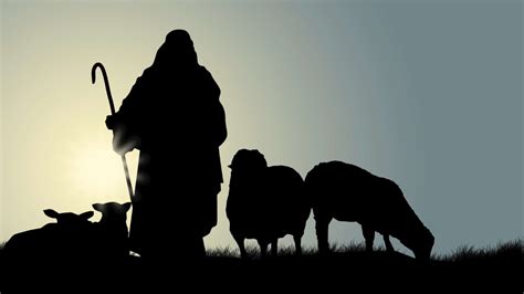 Shepherd the Flock of God That Is Among You