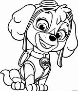 Beautiful Skye From Paw Patrol Coloring Page Printable sketch template