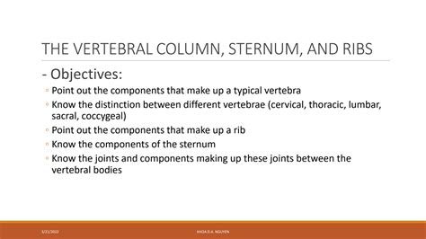 SOLUTION: Anatomy ii thorax and abdomen practical 1 the vertebral column sternum and ribs ...